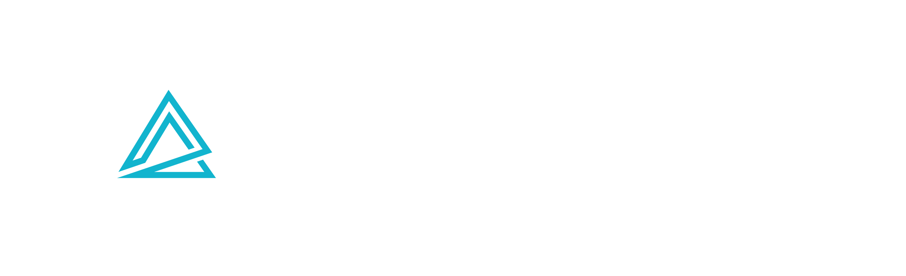 Angular Web Services